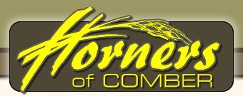 Horners Farm Shop in Comber Co. Down