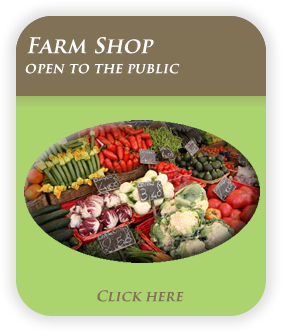 Farm shop at Horners Farm in Co. Down